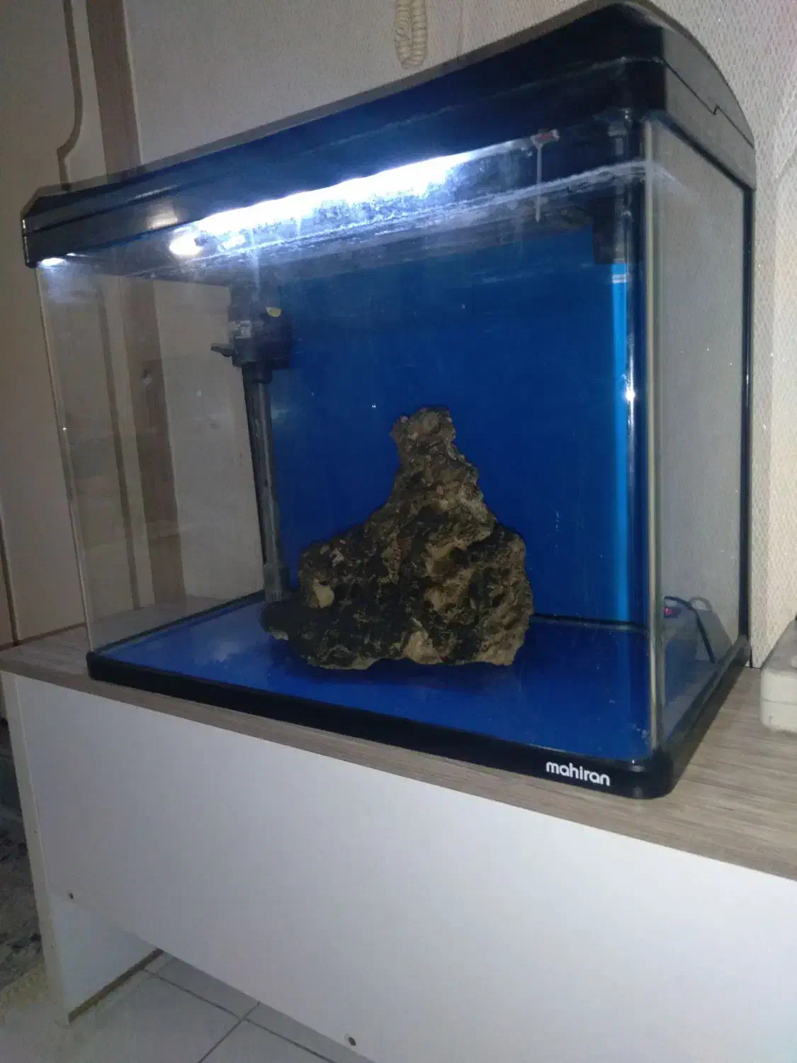 آکواریم شرکتی ماهیران شیشه خم|ماهی|گرگان, |دیوار