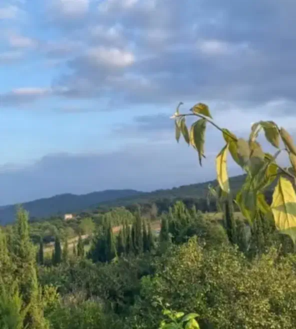 فرصت طلایی دردل طبیعت زمین سندداربامجوزساخت214متر|فروش زمین و ملک کلنگی|زرگرشهر, |دیوار