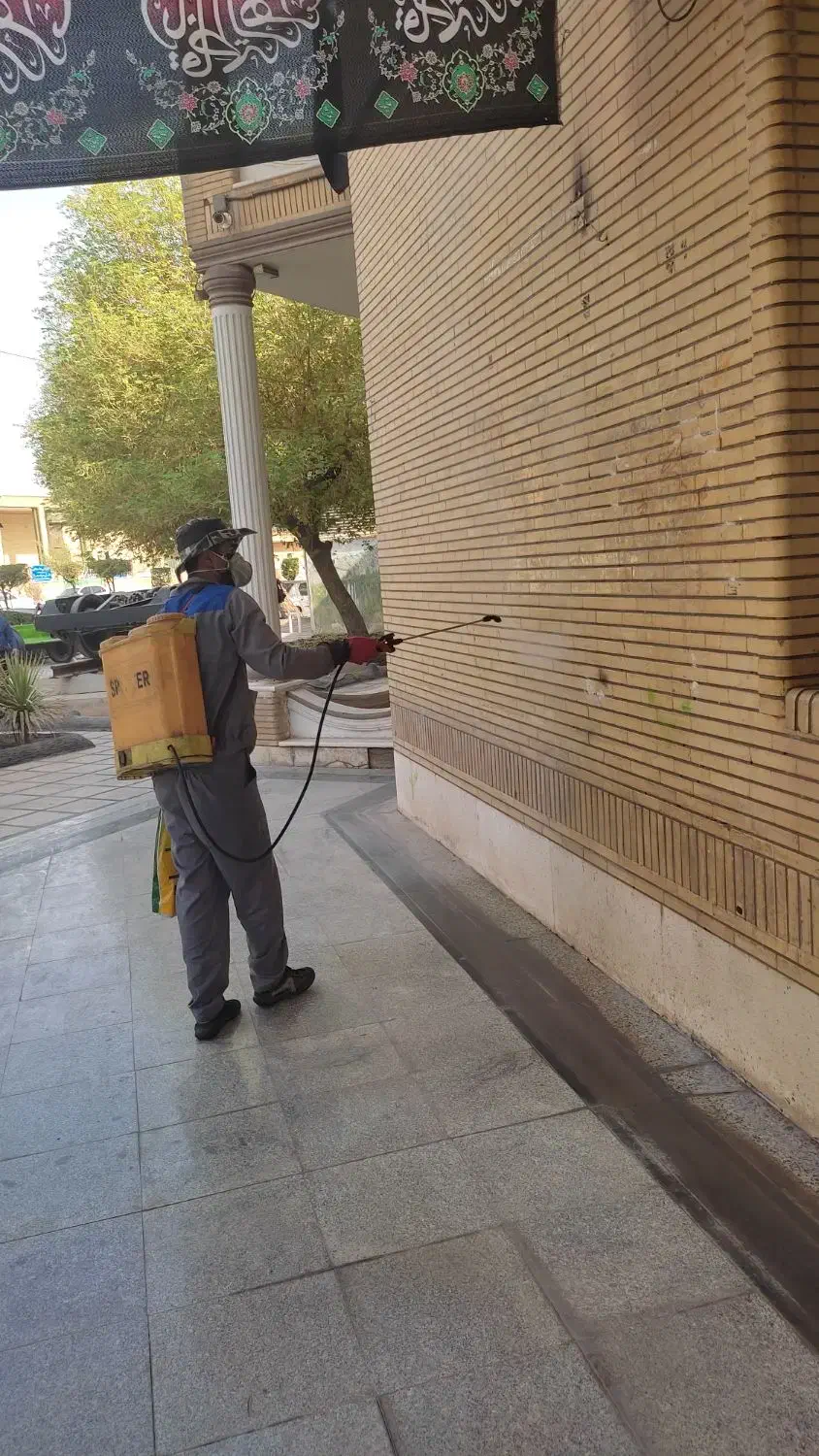سمپاشی سوسک کابینت ،ساس ،موریانه|خدمات نظافت|دزفول, |دیوار