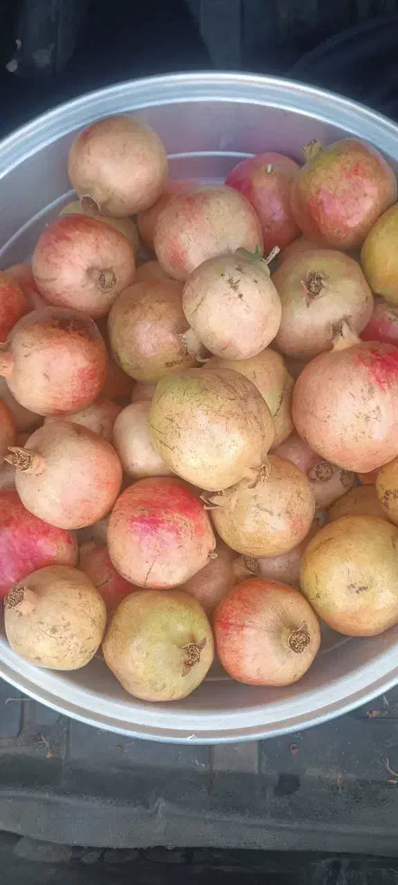 ۲۰ کیلو انار درجه یک ۸۰هزارتومن|خوردنی و آشامیدنی|یزد, |دیوار