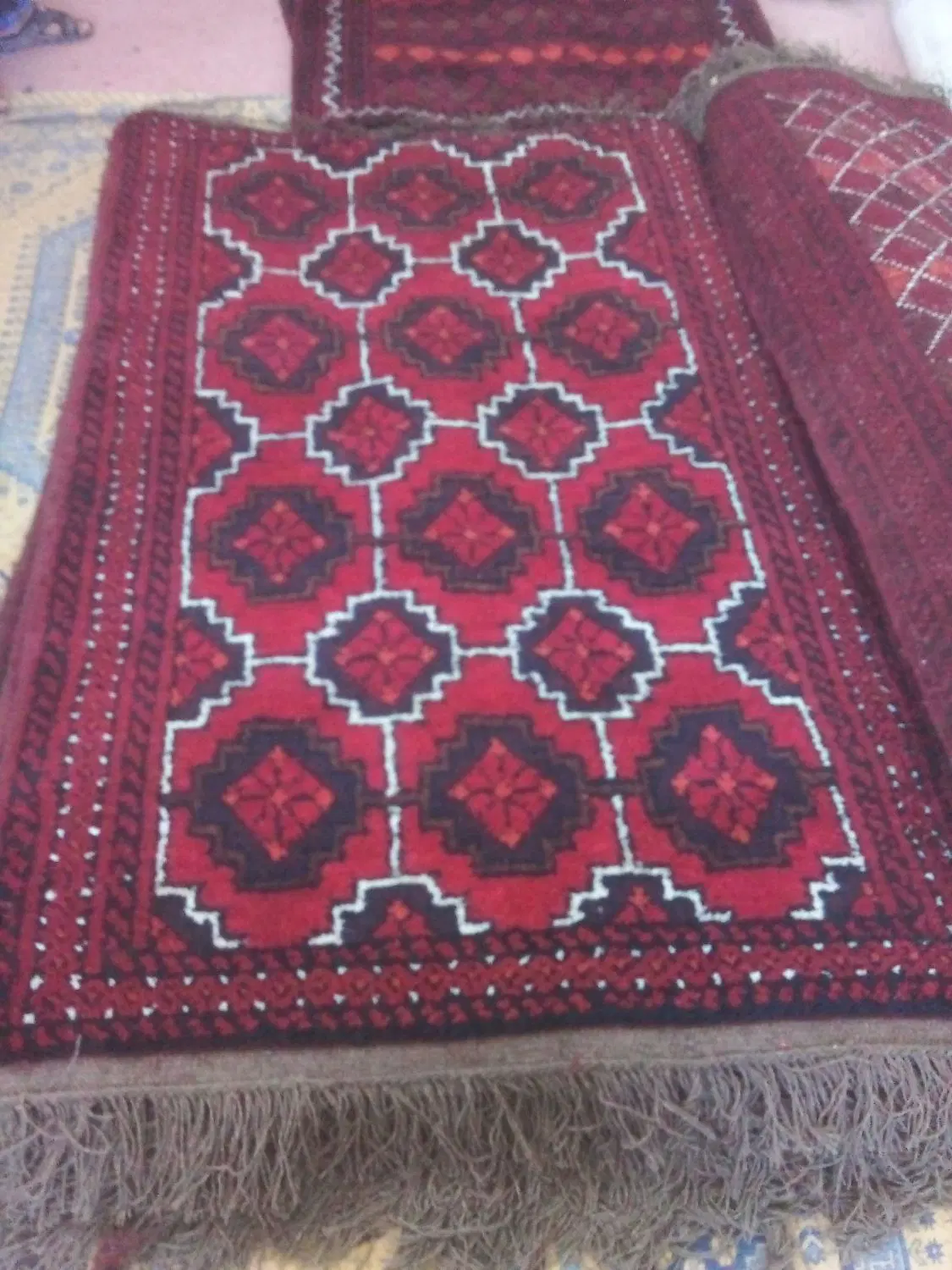 قالیچه پشمی دستباف 150تخته یکجا دانه ای6|فرش|تهران, آرژانتین|دیوار