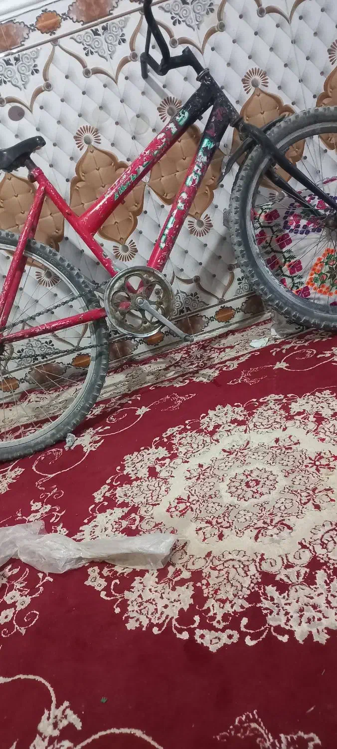 دوچرخه و لالای سماور|دوچرخه، اسکیت، اسکوتر|خاش, |دیوار