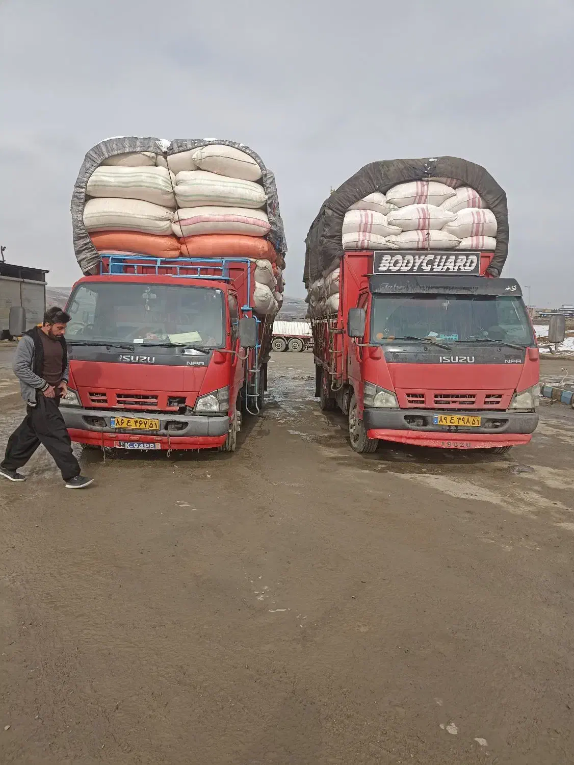 کاه فروشی|حراج|کرفتو, |دیوار