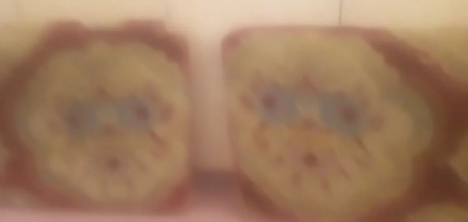 پشتی  سالم|پشتی|زنجان, |دیوار