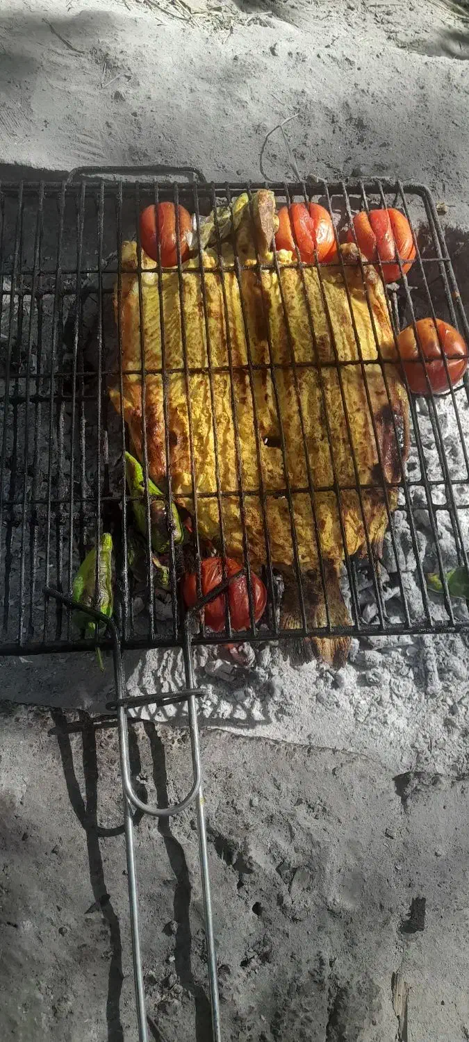 بیرون برمرغ کوبیده جوجه خورشت استانبولی قیمت مناسب|خدمات پذیرایی، مراسم|شهرضا, |دیوار