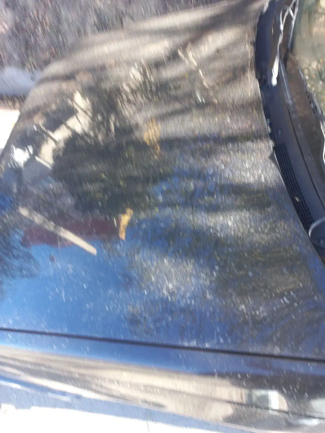 پژو ۴۰۵ بیرنگ بیضربه|خودرو سواری و وانت|دیلمان, |دیوار