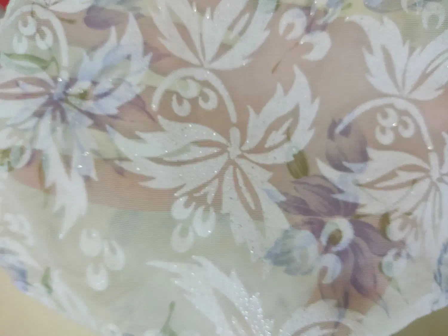 چادر حریر عروس|لباس|شیراز, طلاب|دیوار