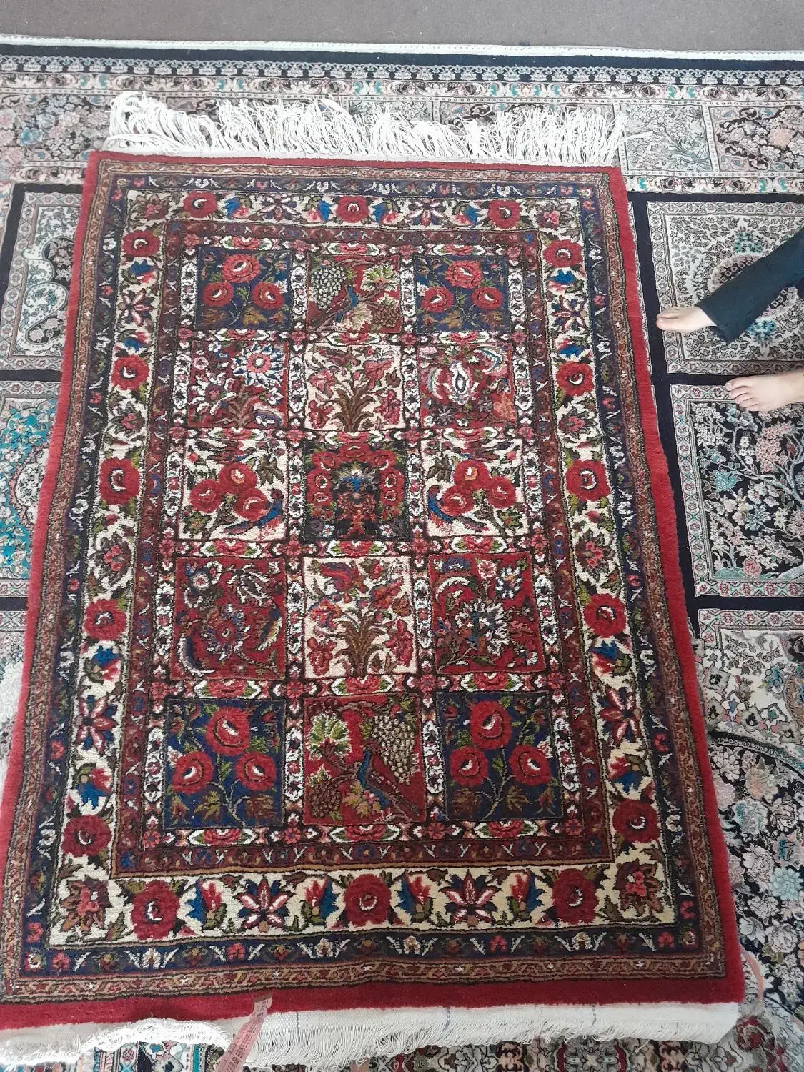 فرش زرع ونیم|فرش|بن, |دیوار