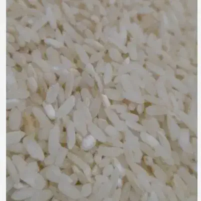 برنج چمپا لردگان|خوردنی و آشامیدنی|بندر گناوه, |دیوار