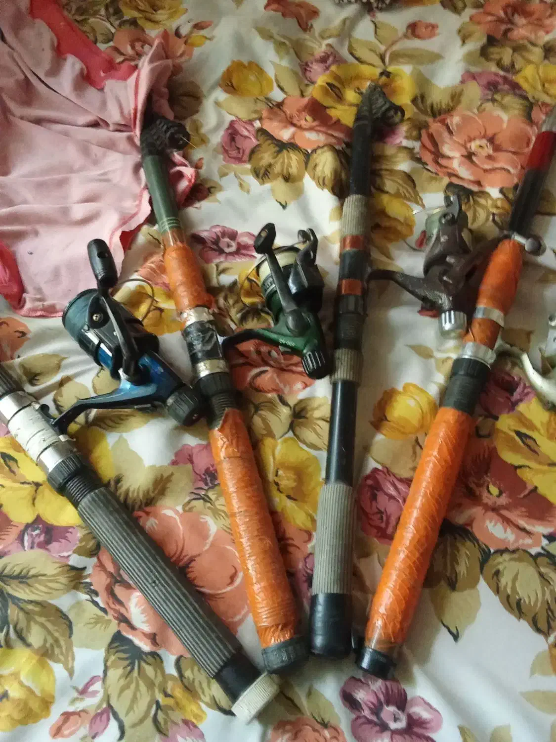 لنسر ماهیگیری|ماهیگیری|گرگان, |دیوار