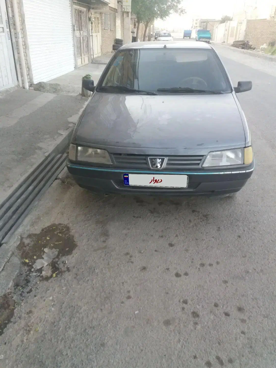 ۴۰۵ دوگانه  ۹۱ خاکستری ۲۹۴۰۰۰ کارکرد|خودرو سواری و وانت|رباط‌کریم, رباط‌کریم|دیوار