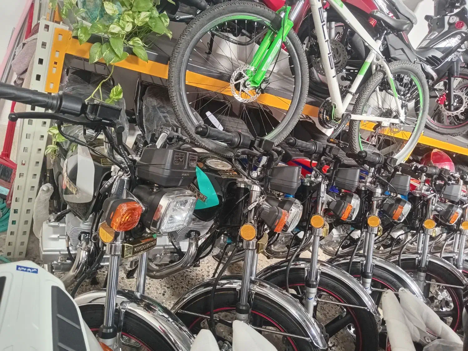 موتور هندا|موتورسیکلت|مشهد, سید رضی|دیوار