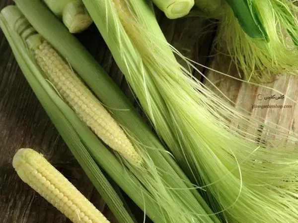 بچه بلال با کیفیت|خوردنی و آشامیدنی|شریف‌آباد, |دیوار