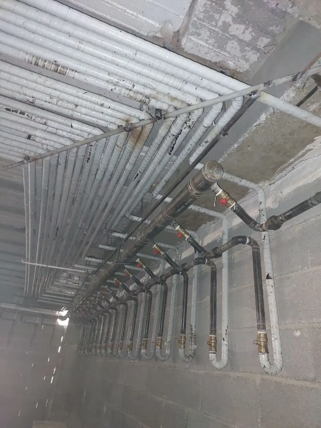 لوله کشی گاز و آتش نشانی|خدمات پیشه و مهارت|مشکین‌دشت, |دیوار