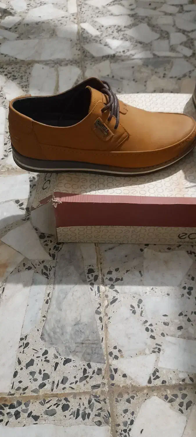 کفش نبوک سایز43کیفیت عالی|کیف، کفش، کمربند|شفت, |دیوار