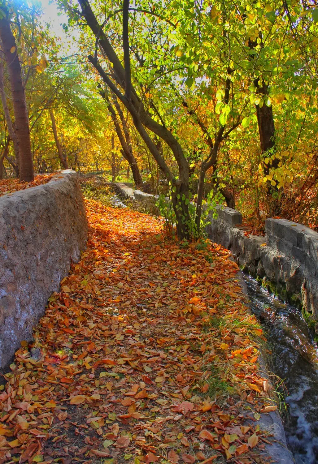 طبیعت پاییزی و لوکیشن عکاسی|تور و چارتر|نیشابور, باغرود|دیوار