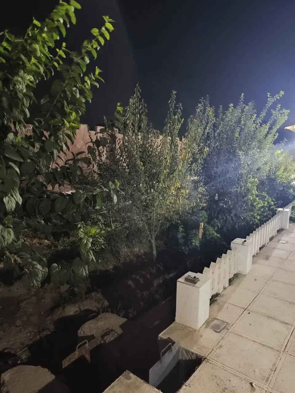 اجاره باغ ویلا700متری،روزانه،هفتگی،ماهانه درگلدشت|اجارهٔ کوتاه‌مدت ویلا و باغ|نجف‌آباد, گلدشت|دیوار