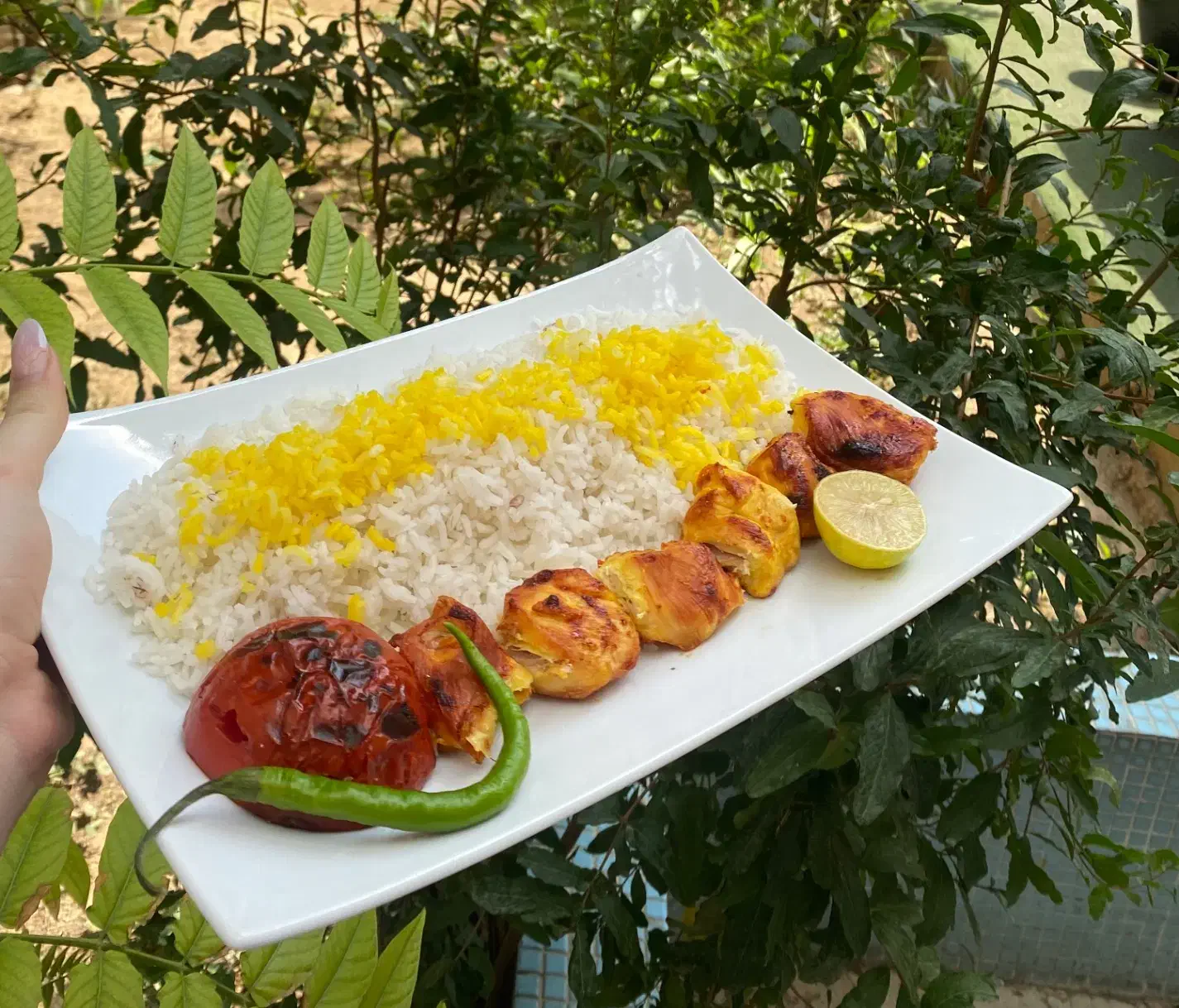 مهمانپذیر آوین|اجارهٔ کوتاهمدت آپارتمان و سوئیت|تهران, فلسطین (میدان انقلاب)|دیوار