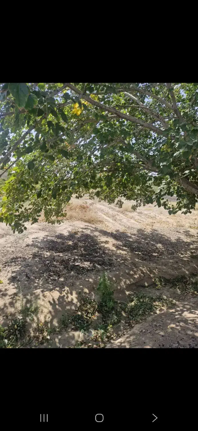 باغ دلیجان زیر اداره برق|فروش خانه و ویلا|دلیجان, |دیوار