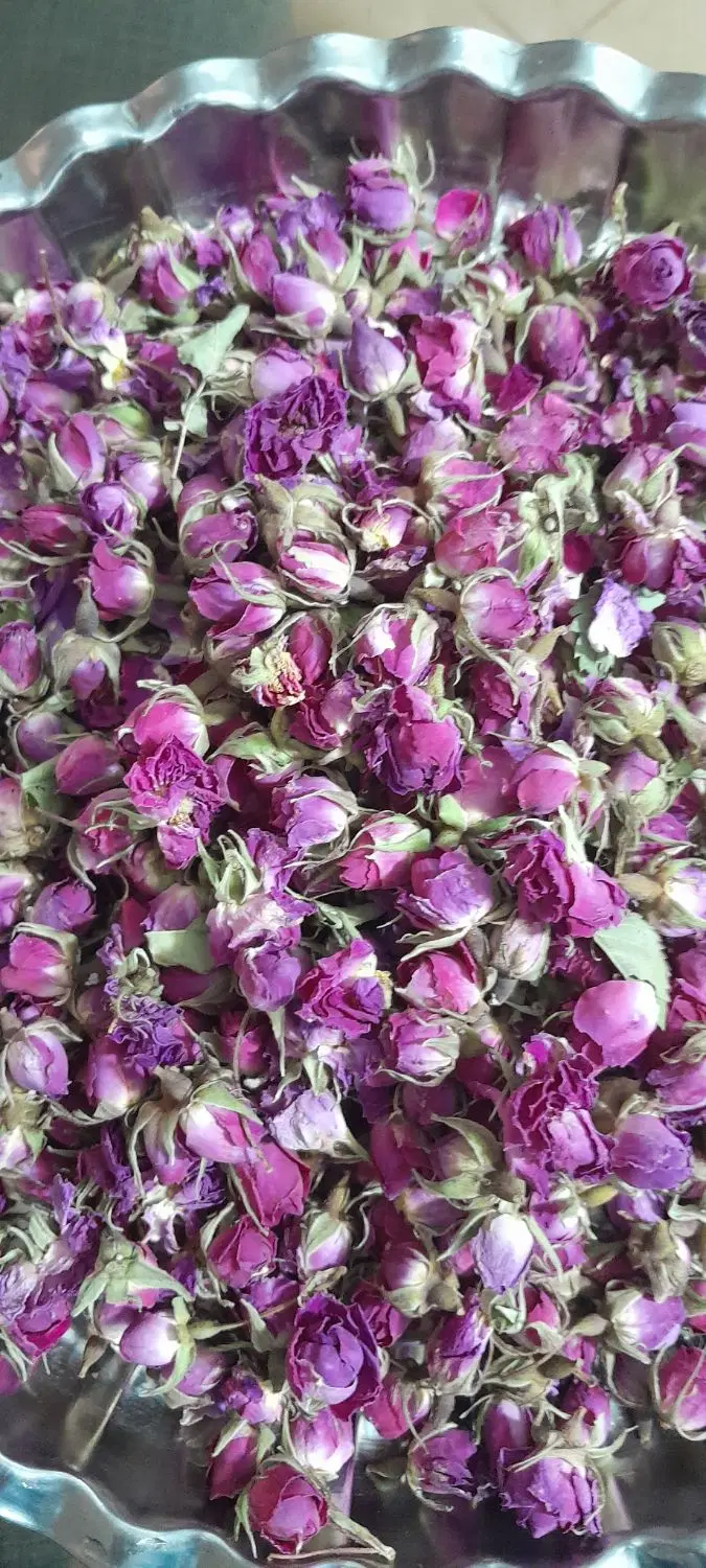 گل سرخ|خوردنی و آشامیدنی|بندرعباس, |دیوار