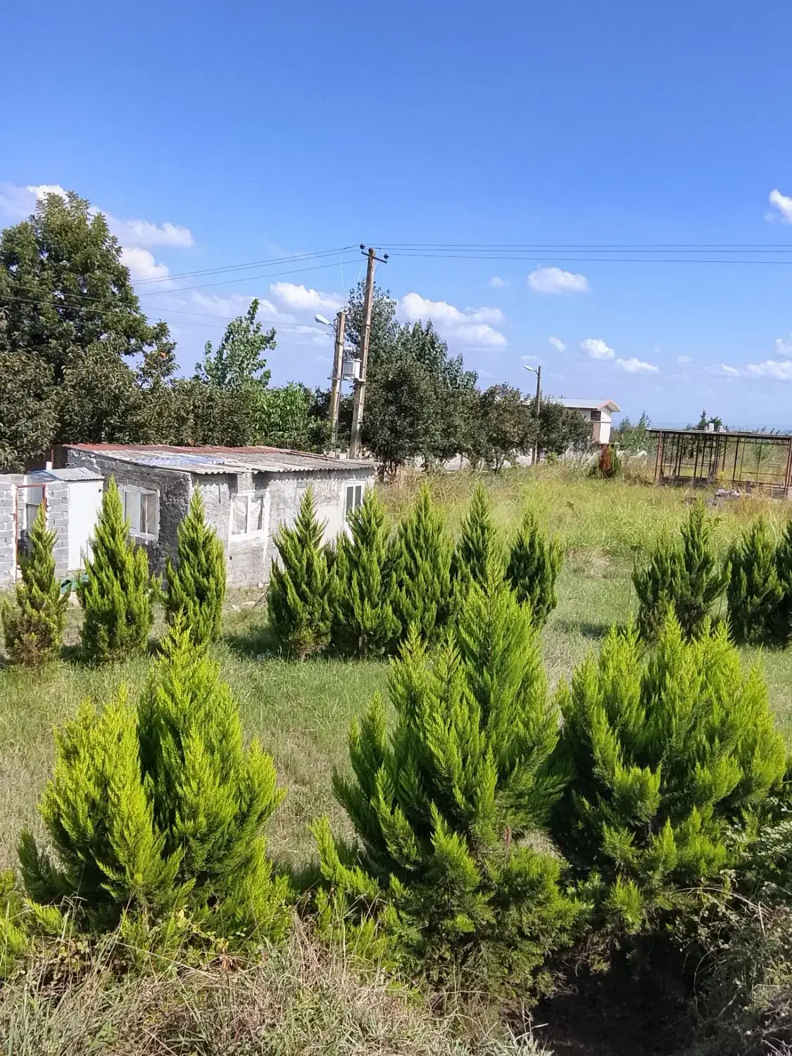 زمین 330متری ویو بی نظیر جنگل کوچه 8متری|فروش زمین و ملک کلنگی|بابکان, |دیوار