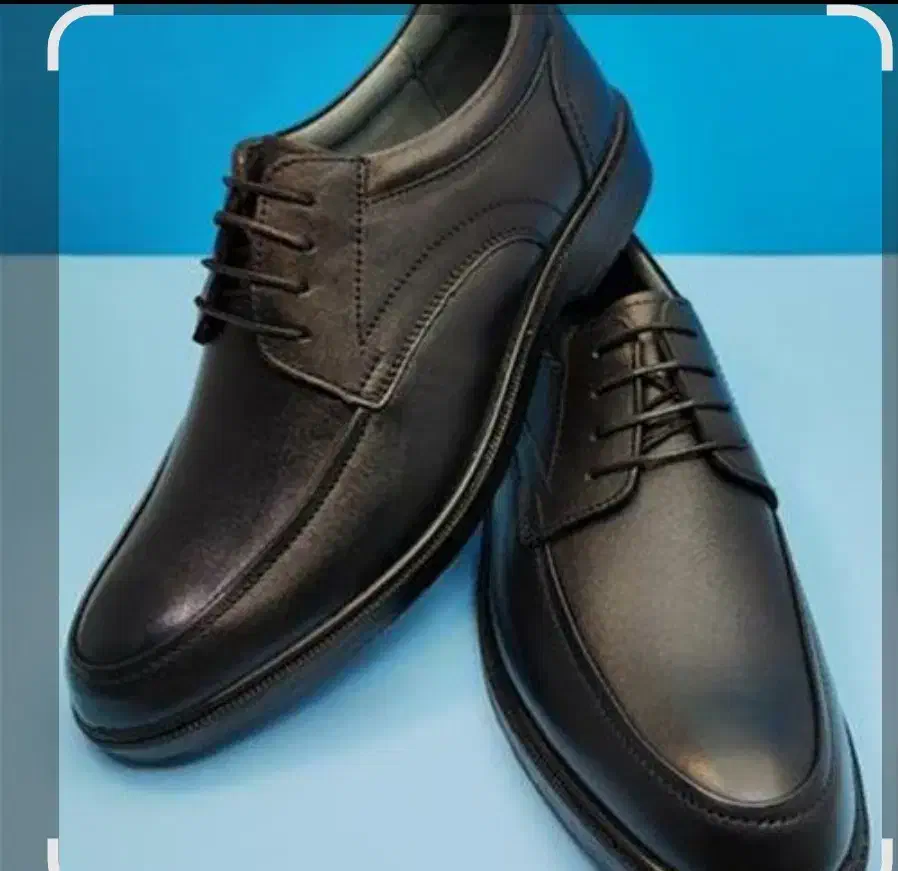 کفش سایز بزرگ|کیف، کفش، کمربند|تهران, سید خندان (جلفا)|دیوار