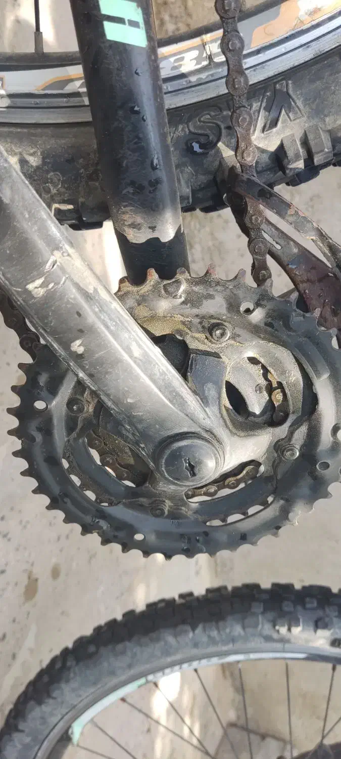 دوچرخه ۲۶|دوچرخه، اسکیت، اسکوتر|برازجان, |دیوار