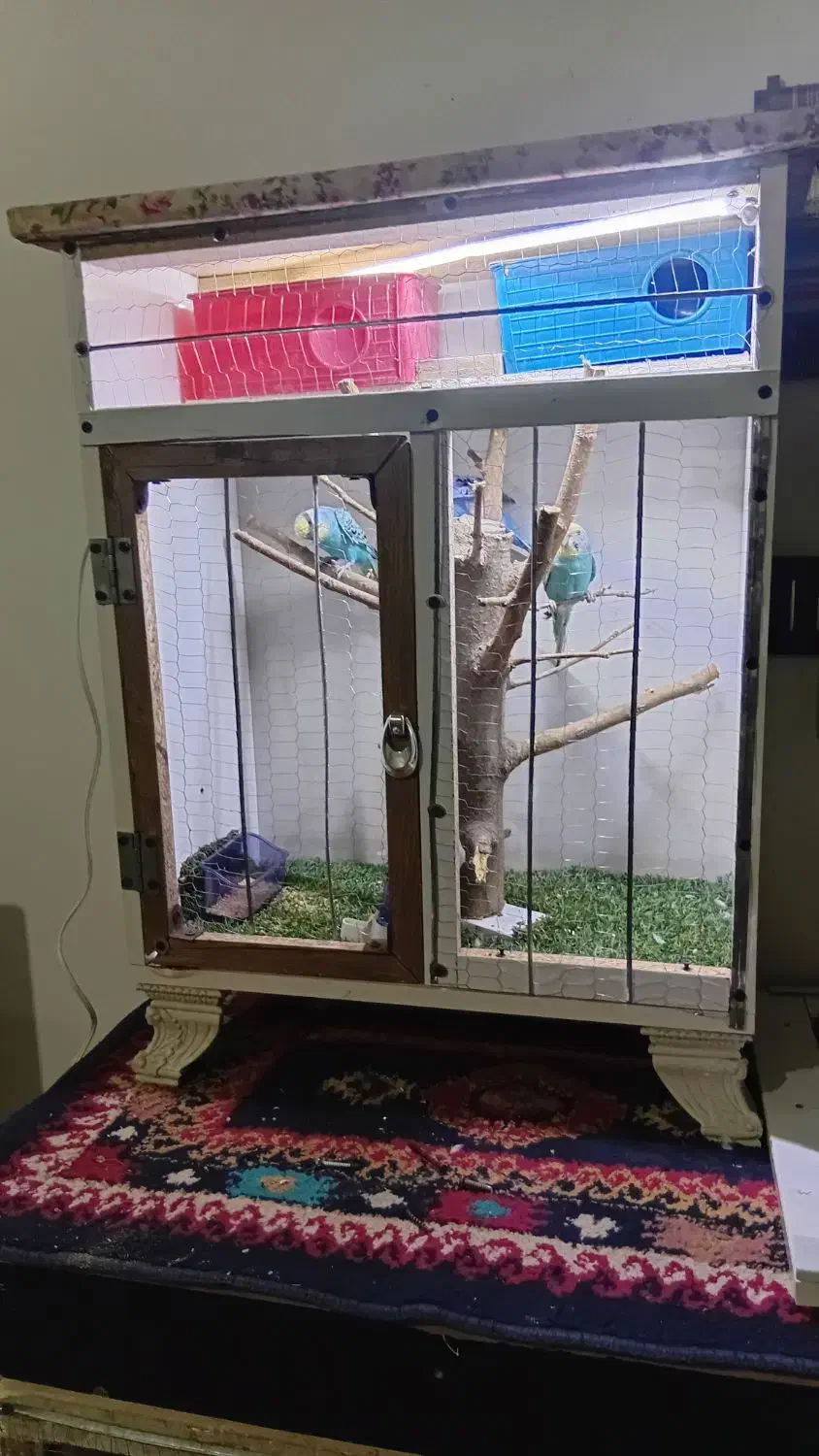 .  قفس چوبی خوشگل تمیز شیک|لوازم جانبی حیوانات|مشهد, شهید بصیر|دیوار