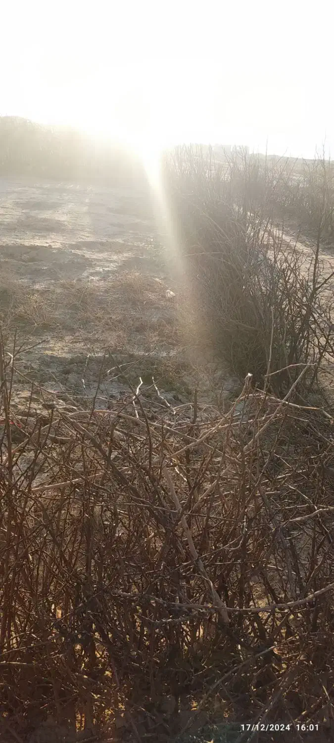 فروش زمین 250متر دو نبش سند تک برگ|فروش زمین و ملک کلنگی|فشاپویه, |دیوار