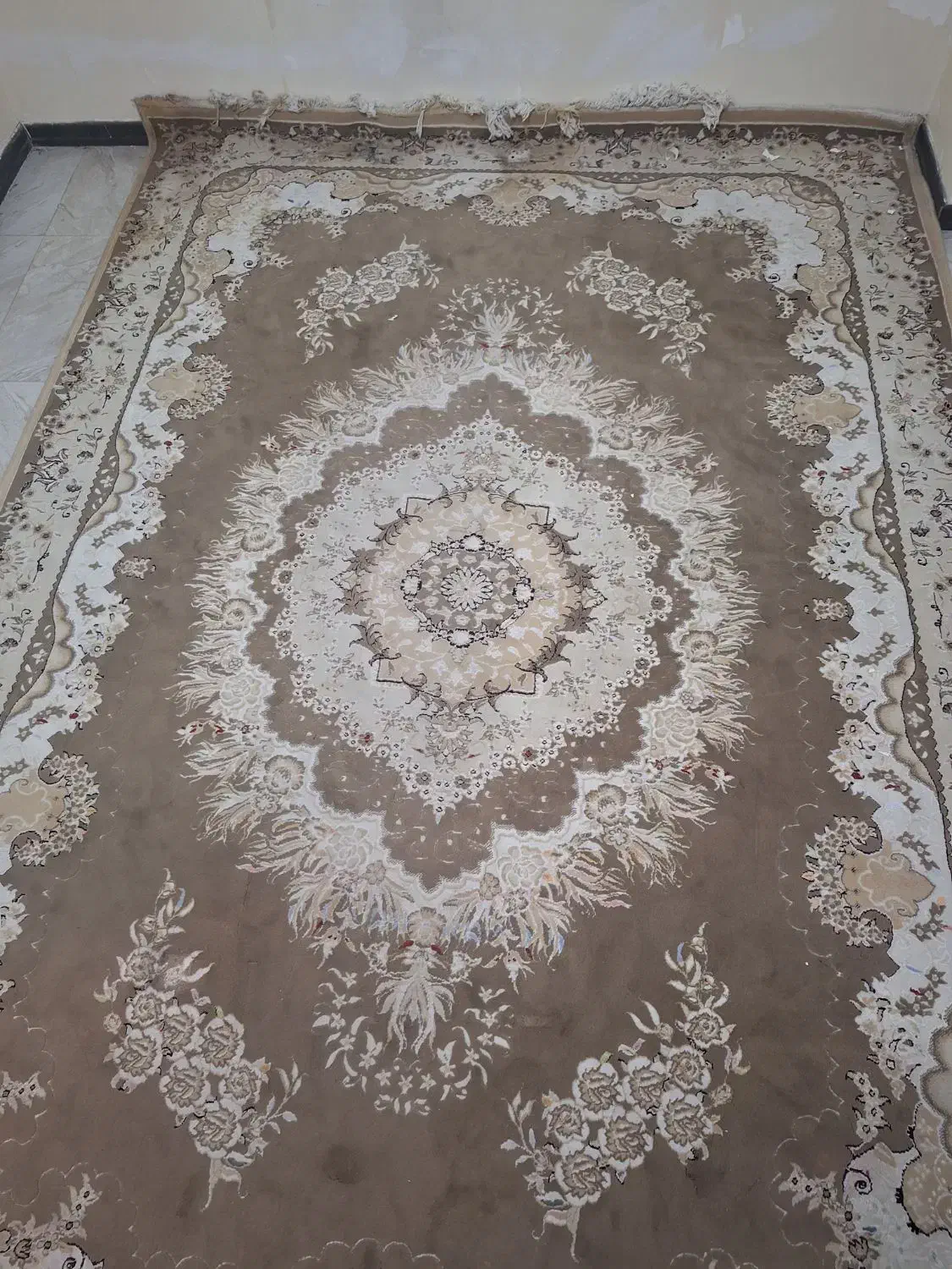 فرش زیبا کاملا سالم|فرش|اندیشه, اندیشه فاز ۱|دیوار