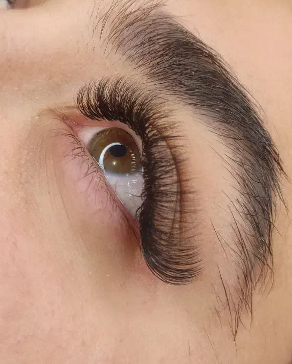 به یک نفر پرسنل مژه کار حرفه ای نیاز دارم|استخدام درمانی، زیبایی، بهداشتی|نجفآباد, امیرکبیر|دیوار