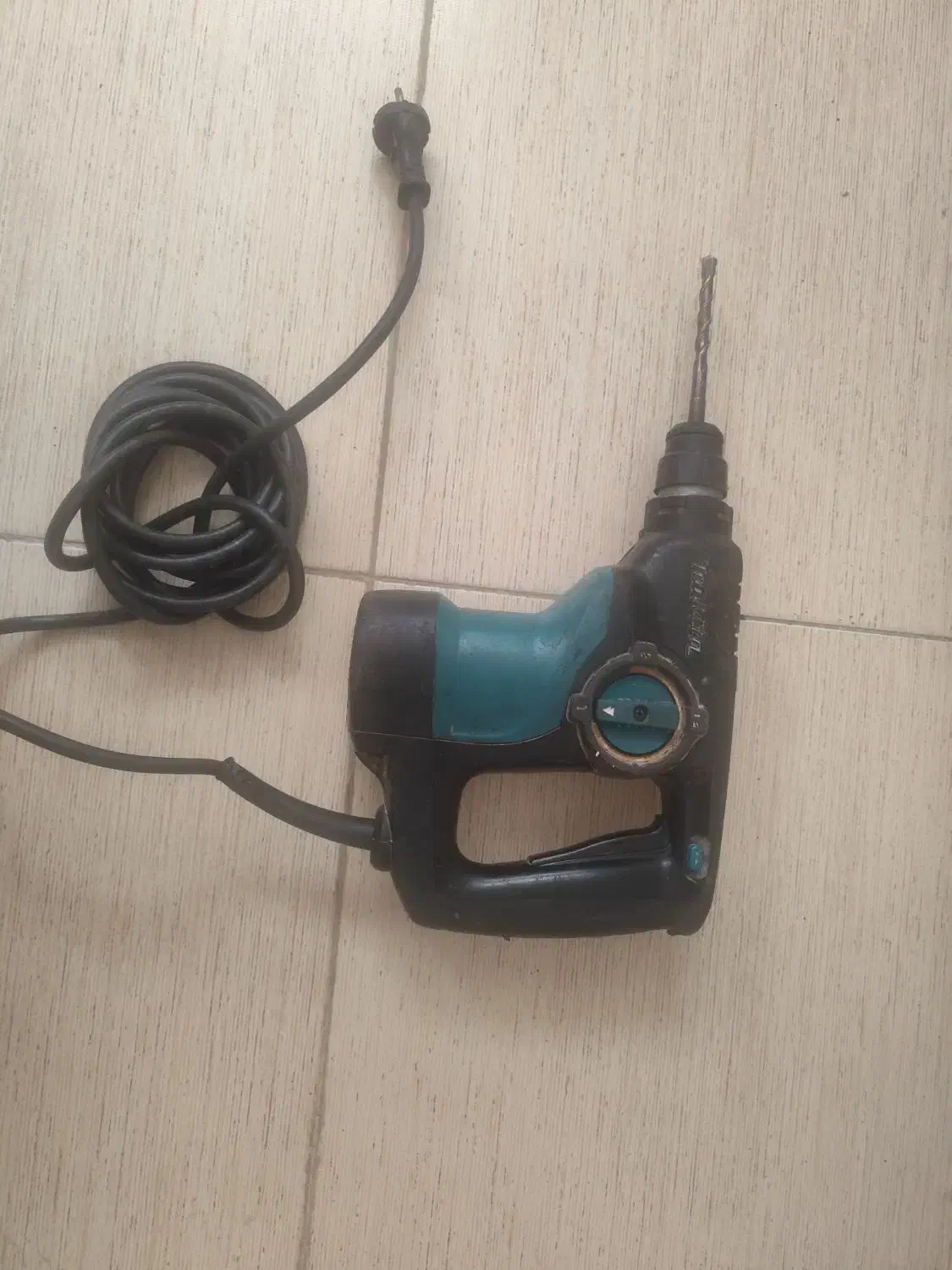 طوطی|پرنده|مشکیندشت, |دیوار