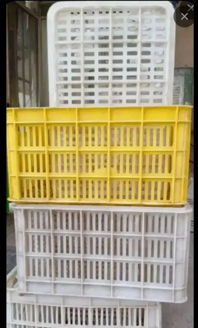 باغبانی و کشاورزی|ظروف نگهدارنده، پلاستیکی، یک‌بارمصرف|نیشابور, بنیاد شهید|دیوار