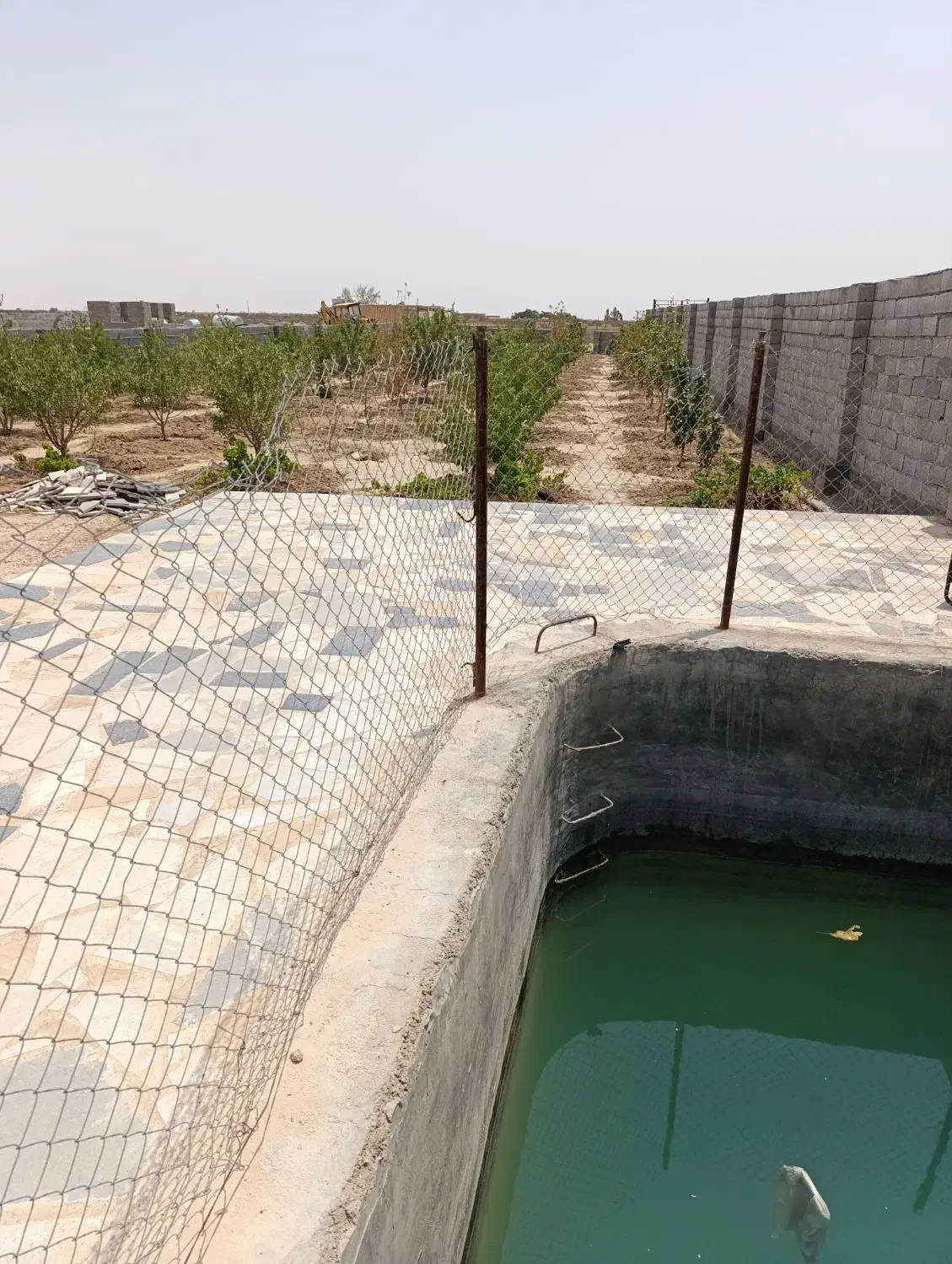 فروش باغ|فروش زمین و ملک کلنگی|شاهینشهر, شهرک میلاد|دیوار