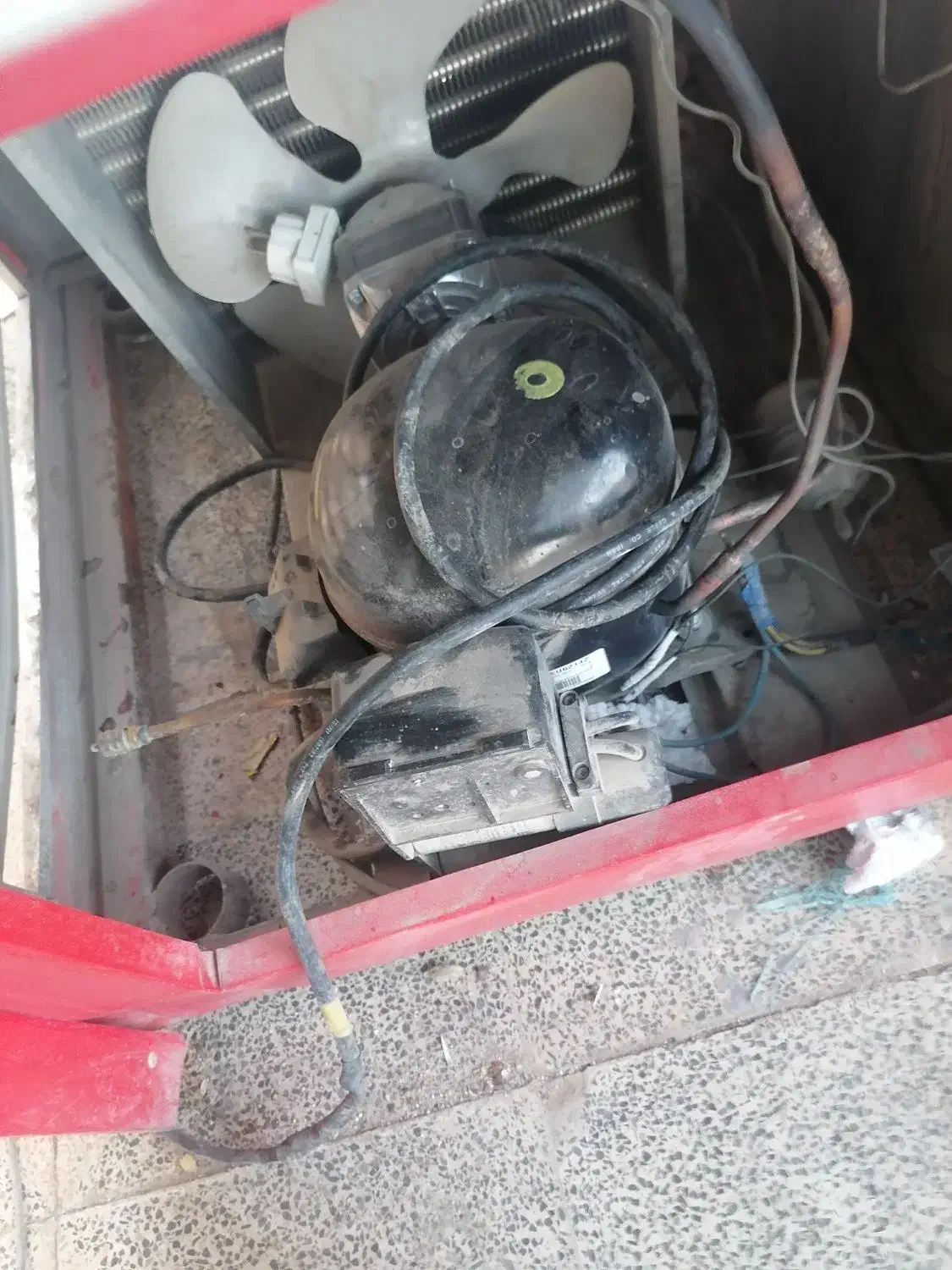 یخچال، مغازه|فروشگاه و مغازه|مهریز, |دیوار