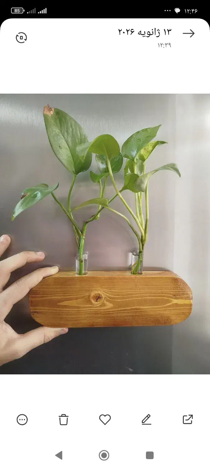 گلدان شیشه‌ای|گل مصنوعی|قم, ولیعصر|دیوار