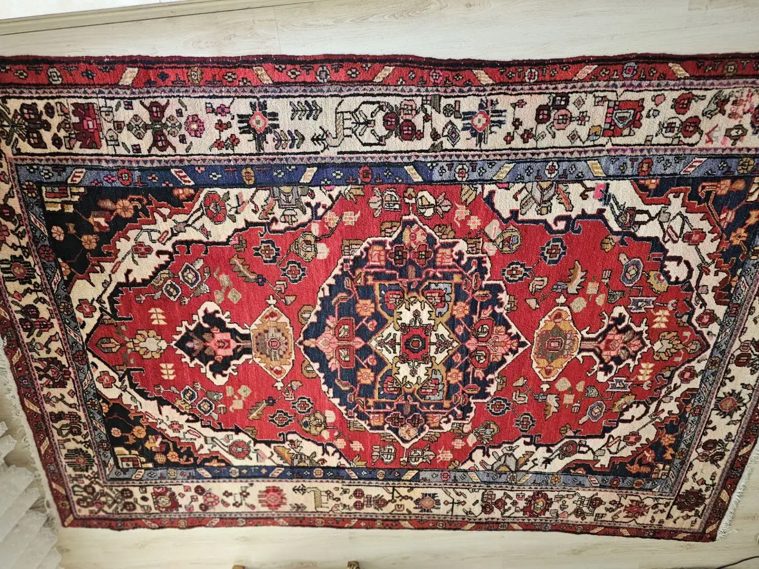 فرش طبیعی ۶متره|فرش|اردبیل, |دیوار