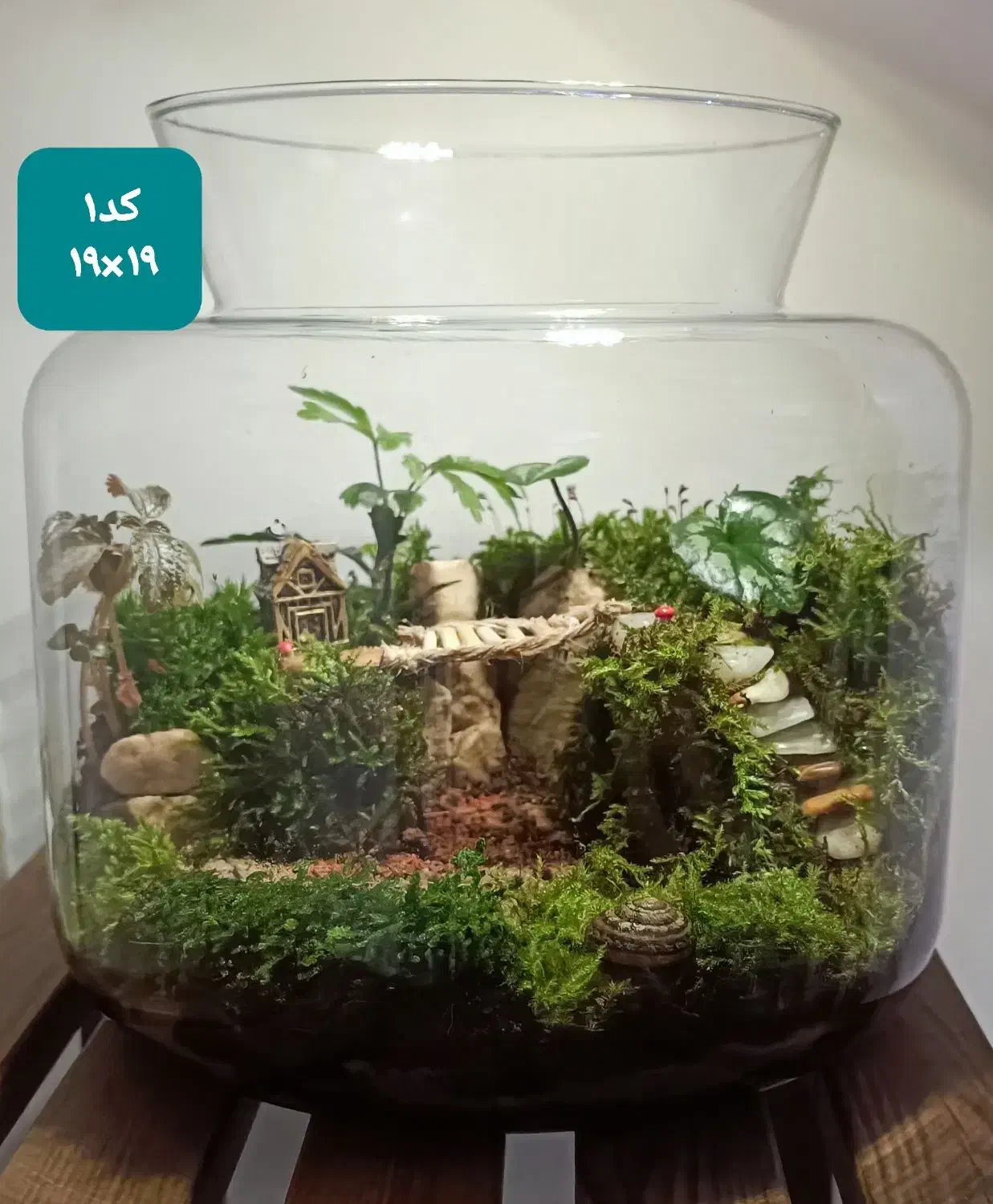 تراریوم (باغ شیشه‌ای) یک هدیه خاص و زیبا|گل و گیاه طبیعی|قم, نیروگاه|دیوار