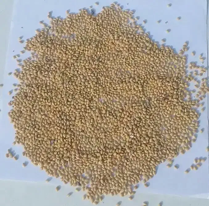 ارزن|لوازم جانبی حیوانات|قزوین, |دیوار