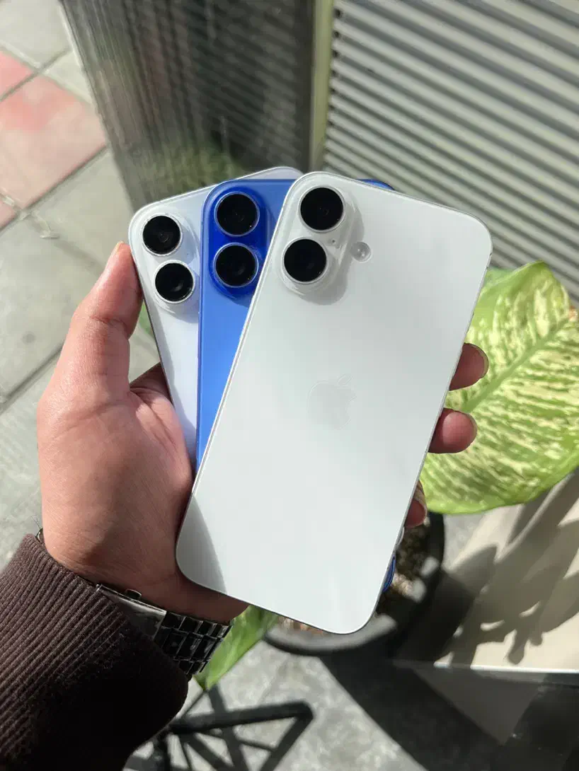iPhone 16 normal 128G ریجستر|موبایل|قم, جهان بینی|دیوار
