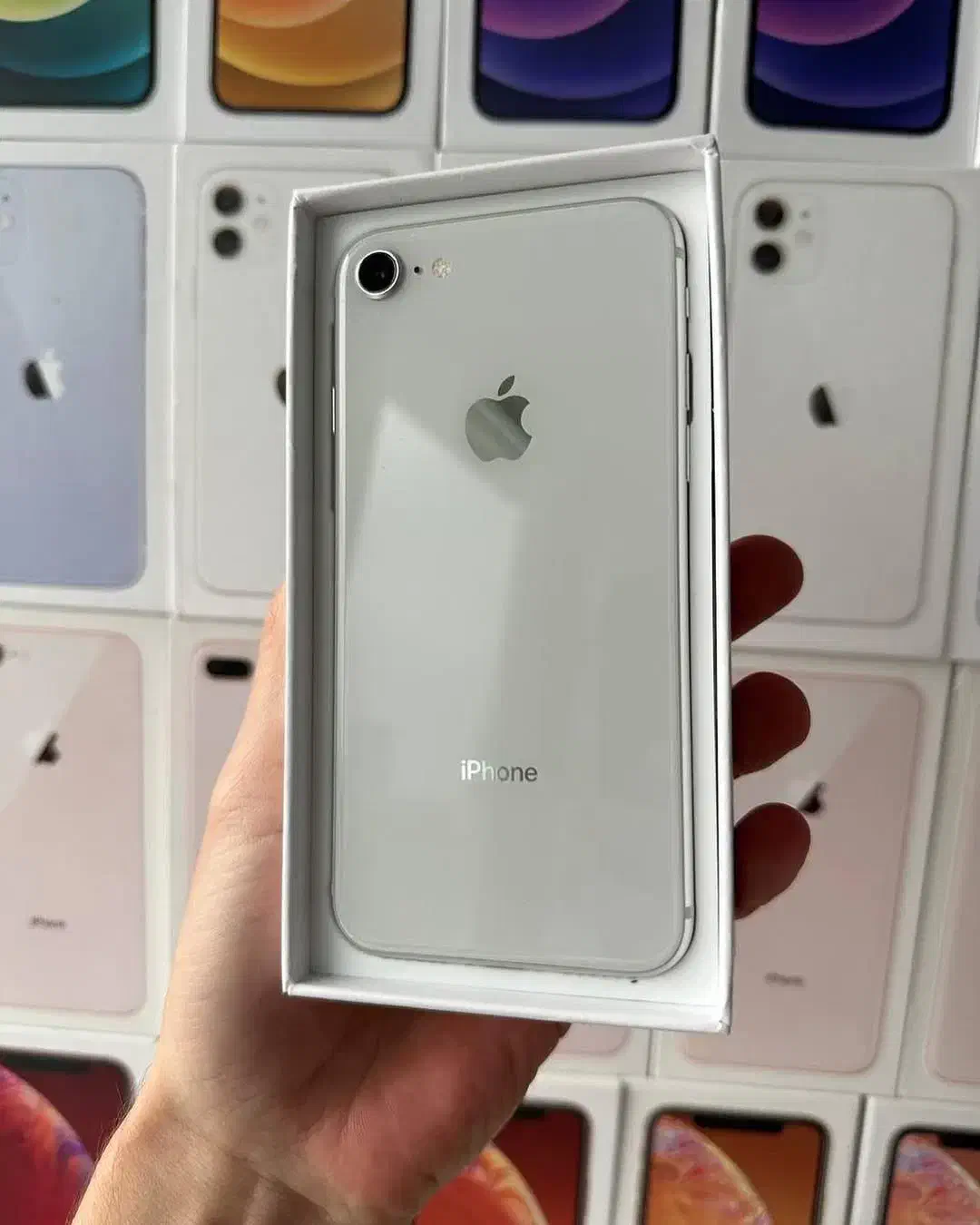 IPHONE 8|موبایل|چالوس, |دیوار