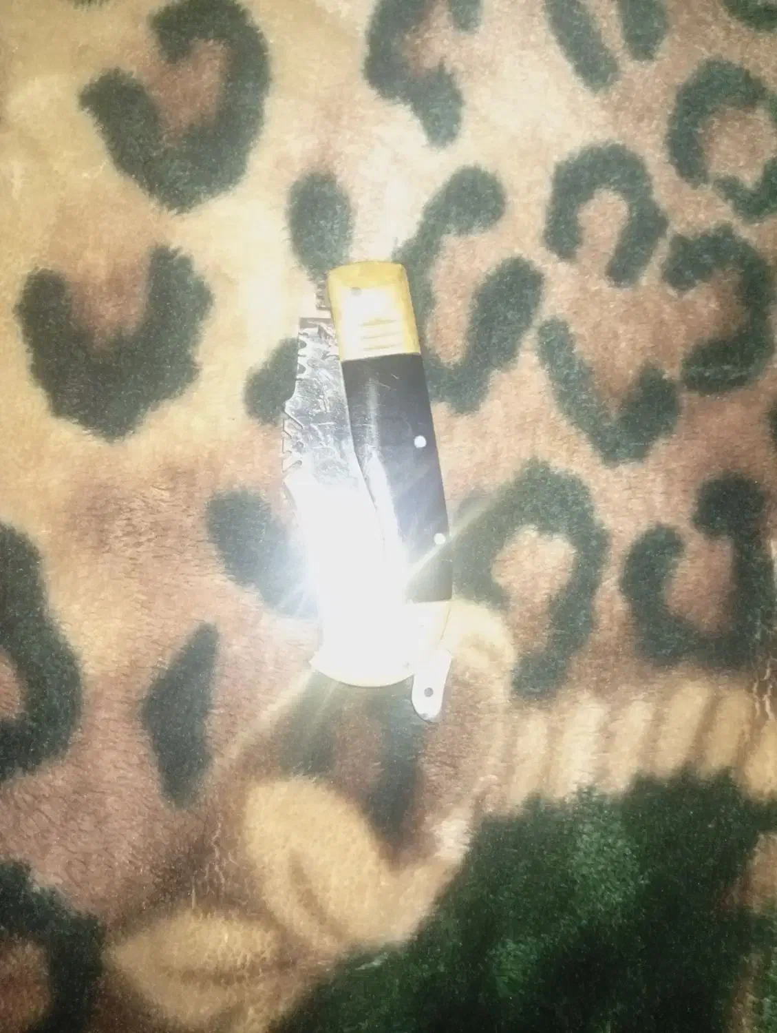 چاقو|کلکسیون و سرگرمی|کرمان, |دیوار