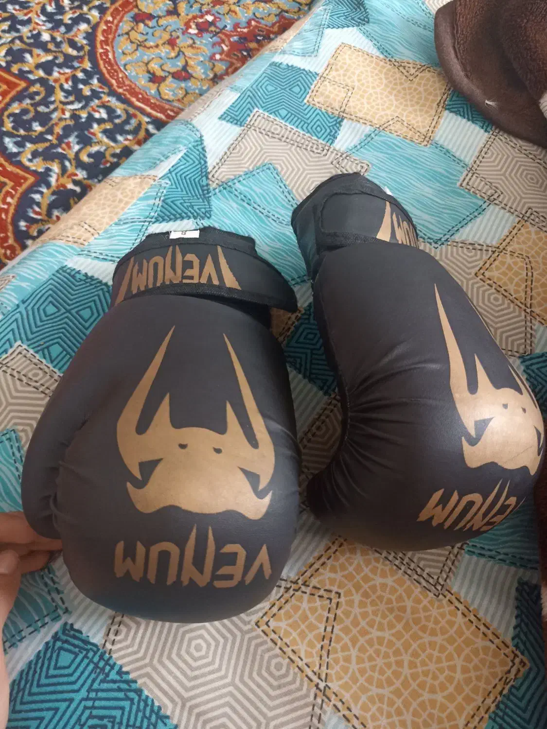 دسکش|تجهیزات ورزشی|یاسوج, |دیوار