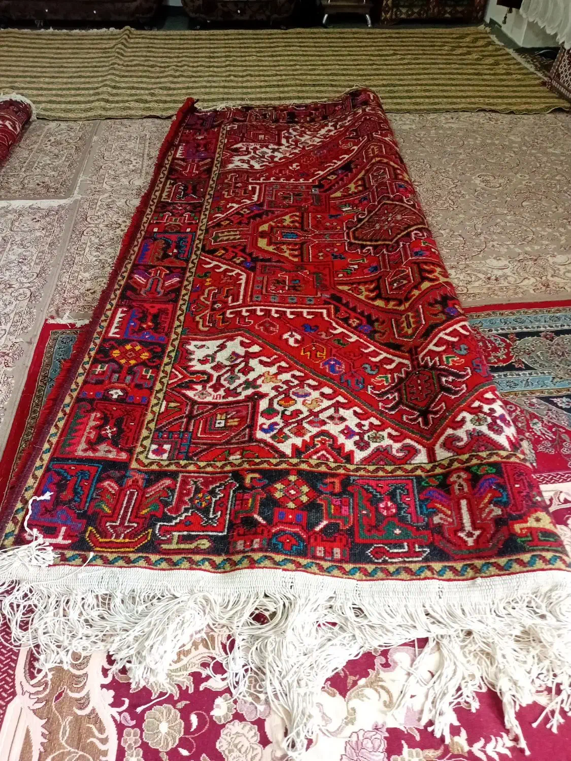 فرش نمرور|فرش|هریس, |دیوار