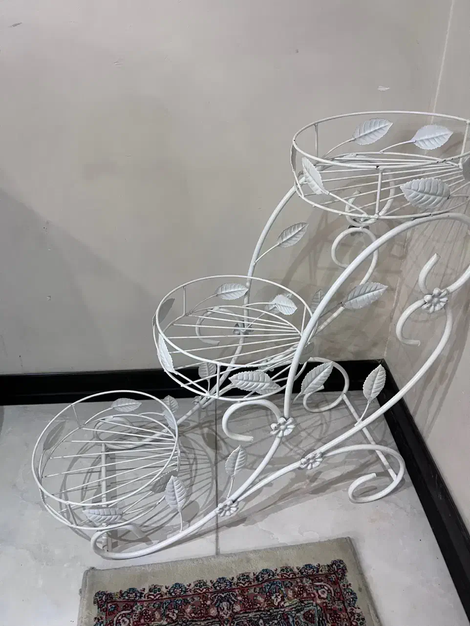 جاگلدانی|گل و گیاه طبیعی|کرج, کارخانه قند|دیوار