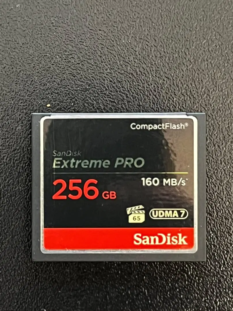 رم ۲۵۶ گیگا بایت SanDisk|دوربین عکاسی و فیلمبرداری|تهران, مرزداران|دیوار