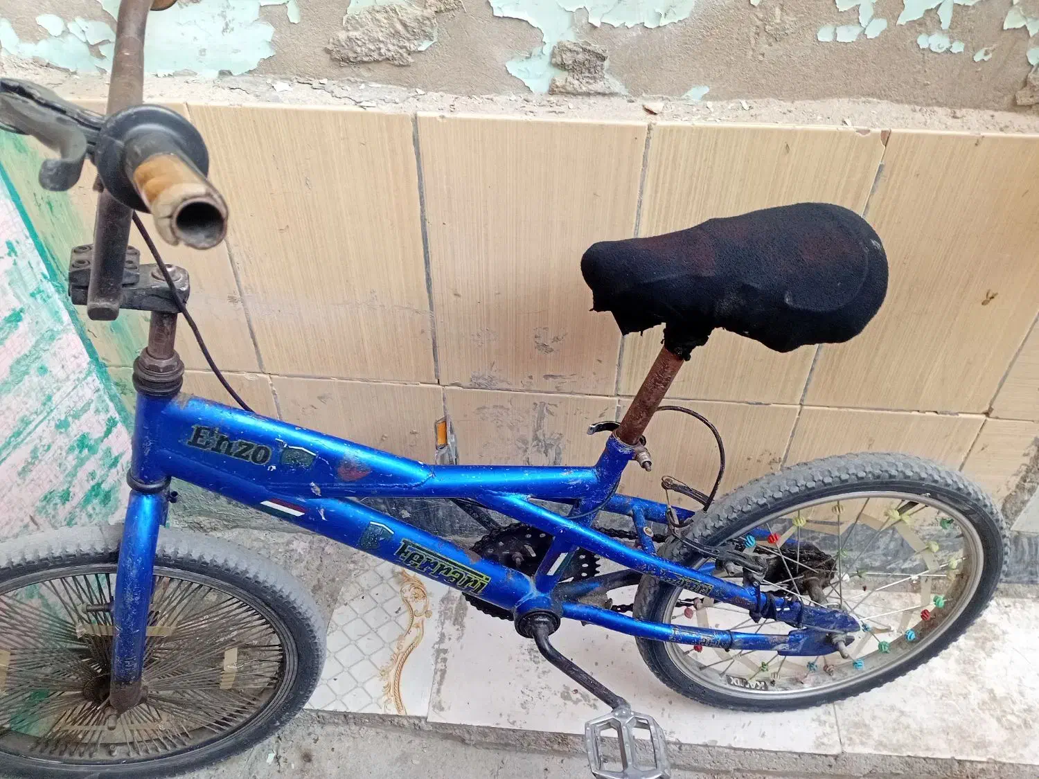 دوچرخه حرفه ای ۲۰|دوچرخه، اسکیت، اسکوتر|شادگان, |دیوار