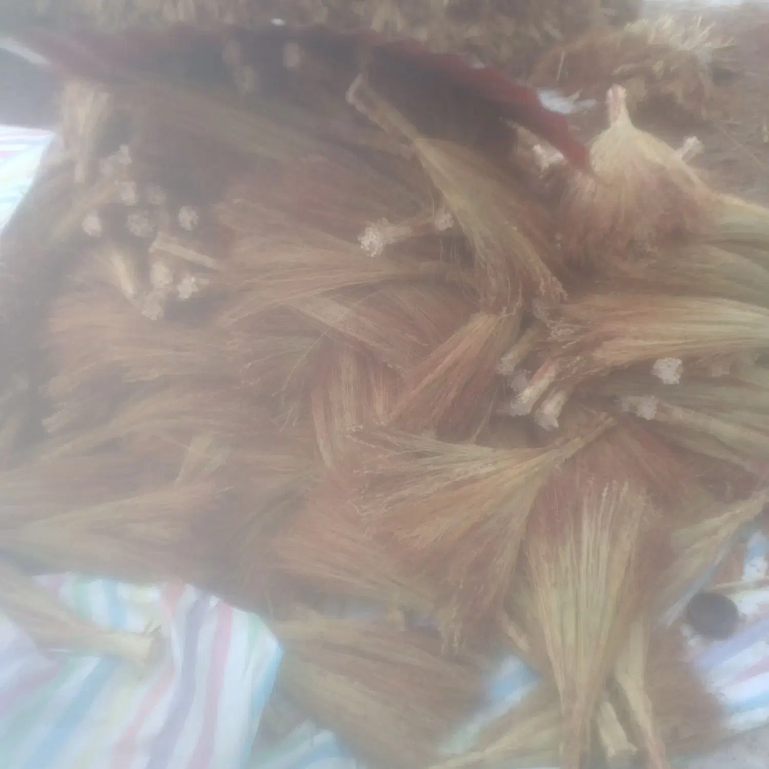 جارو سنتی|لوازم نظافت|زنجانرود, |دیوار