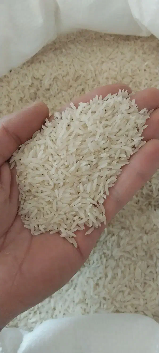 برنج قره قیه|خوردنی و آشامیدنی|پارس‌آباد, |دیوار