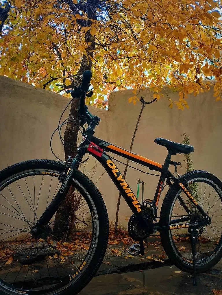 دوچرخه المپیاد سایز ۲۶|دوچرخه، اسکیت، اسکوتر|ری, سیزده آبان|دیوار